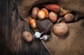 Vegetables on wood. Bio Healthy food, herbs and spices