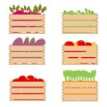 Vegetables in a wooden box. Wooden boxes containing veggies for a healthy diet, good nutrition.