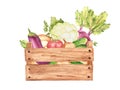 Vegetables in a wooden box. Cauliflower, cucumbers and beet. Tomato and champignon, potato and parsley plant, onion Royalty Free Stock Photo