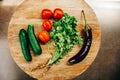 Vegetables on table, cucmber, tomato, cilantro, eggplant Royalty Free Stock Photo