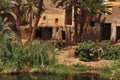 Vegetal formations on the banks of the Nile, Nile river life source, fishing boats