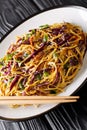 Vegetarian Asian egg noodle salad with seasonal vegetables close-up in a plate. vertical