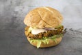 Vegetarian Black Bean Quinoa Burger Royalty Free Stock Photo