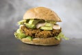 Vegetarian Black Bean Quinoa Burger Royalty Free Stock Photo