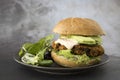 Vegetarian Black Bean Quinoa Burger Royalty Free Stock Photo