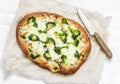 Vegetarian broccoli mozzarella cheese pizza on a light background, top view Royalty Free Stock Photo