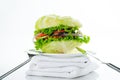 Vegetarian burger Royalty Free Stock Photo