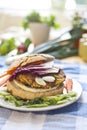 Vegetarian burger Royalty Free Stock Photo