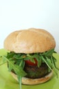 Vegetarian burger Royalty Free Stock Photo
