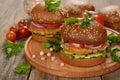 Vegetarian burger Royalty Free Stock Photo