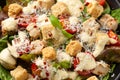 Vegetarian ceasar salad with meat free chicken pieces cherry tomatoes croutons and lettuce