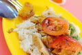 Vegetarian chicken rice Royalty Free Stock Photo