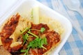 Vegetarian chicken rice Royalty Free Stock Photo