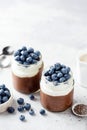 Vegetarian chocolate yogurt mousse or pudding in jar Royalty Free Stock Photo