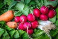 Fresh vegetables Royalty Free Stock Photo