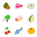 Vegetarian diet icons set, isometric style Royalty Free Stock Photo