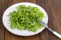 Vegetarian dish, plate with green arugula on wooden table Royalty Free Stock Photo