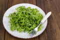 Vegetarian dish, plate with green arugula on wooden table Royalty Free Stock Photo