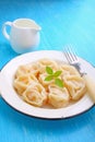 Vegetarian dumplings(pelmeni) with potato