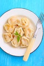 Vegetarian dumplings(pelmeni) with potato