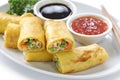 Vegetarian egg rolls Royalty Free Stock Photo