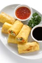 Vegetarian egg rolls Royalty Free Stock Photo