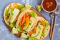 Vegetarian fajitas with tofu and vegetables. Royalty Free Stock Photo