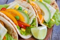 Vegetarian fajitas with tofu and vegetables. Royalty Free Stock Photo