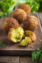 Vegetarian falafel with tzatziki sauce