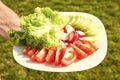 Vegetarian food concept. Fresh food. Taste of freshness. Fresh vegetables on plate. Spring salad. Chopped tomatoes