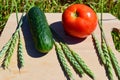 vegetarian food concept, one green cucumber and one red tomato wooden cutting Board against a background of green grass. Royalty Free Stock Photo