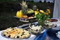 Vegetarian food display Royalty Free Stock Photo