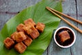 Vegetarian food, fried tofu