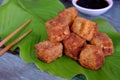 Vegetarian food, fried tofu