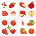 Vegetarian food icons in cartoon style. Red color fresh organic fruits. Health fruity harvest illustration.