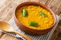 Vegetarian food Kik Alicha Ethiopian Yellow Split Pea Stew closeup in the bowl. Horizontal