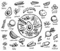 Vegetarian food symbols, vector hand drawn vegan menu with assorted fruits, vegetables and nuts