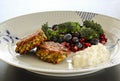 Vegetarian food. Vegetable cutlets from red lentils, onions, parsley and oatmeal. With salad of broccoli, pomegranate seeds bluebe