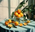 Vegetarian fruit citrus oranges fresh ripe fruit juicy food juice healthy citrus vitamin table