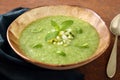 Vegetarian green cream soup in ceramic bowl Royalty Free Stock Photo