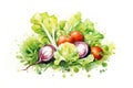 Vegetarian green vegetables salad background organic nature fresh watercolor healthy food diet Royalty Free Stock Photo