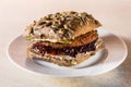 Vegetarian hamburger Royalty Free Stock Photo
