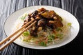 Vegetarian healthy rice vermicelli with vegetables and caramelized eggplants close-up on a plate. horizontal Royalty Free Stock Photo