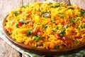 Vegetarian Indian rice with vegetables close-up on a plate. horizontal, rustic style