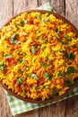 Vegetarian Indian rice with vegetables close-up on a plate. Vertical top view, rustic style