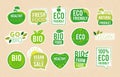 Vegetarian labels. Eco healthy fresh food tags natural products badges organic symbols vector stamps collection Royalty Free Stock Photo