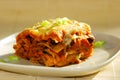 Vegetarian lasagna Royalty Free Stock Photo