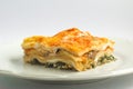 Vegetarian Lasagna with eggplant and spinach