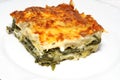 Vegetarian lasagna with ricotta cheese Royalty Free Stock Photo