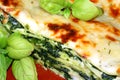 Vegetarian lasagna with ricotta cheese spinach fil Royalty Free Stock Photo